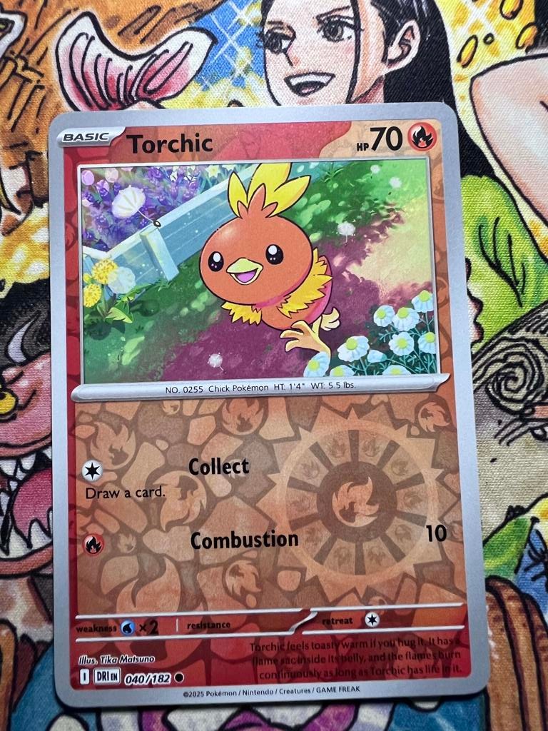 Torchic
